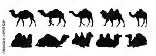 Camels Silhouette - Vector Straight Design Illustration: Suitable for Animal Theme and Other Graphic Related Assets.