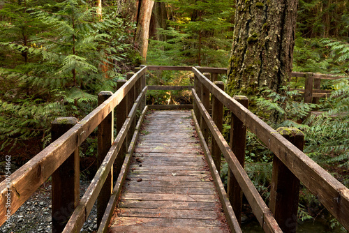 Closeup of a bridge over a stream in a remote pacific northwest rainforest.