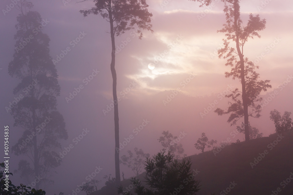 Fototapeta premium Misty sunrise