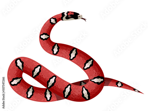 viper snake red culebra reptile serpent