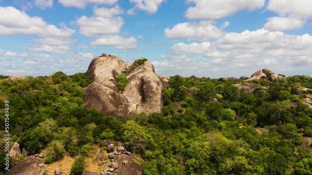 Jungle and rock with a Buddhist monastery. Tropical landscape. Sri ...