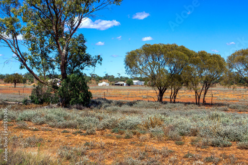 Rural view across red dirt paddock to farm buildings