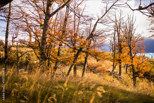 El otoño es la estacion del año mas dorada