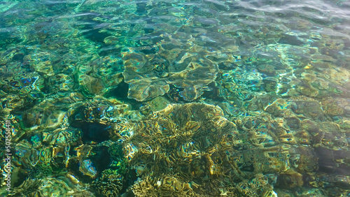 coral reefs seen from behind the clear water. Alor Island, Indonesia