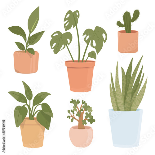 Set of potted plants isolated on white background. illustration of flowering pots