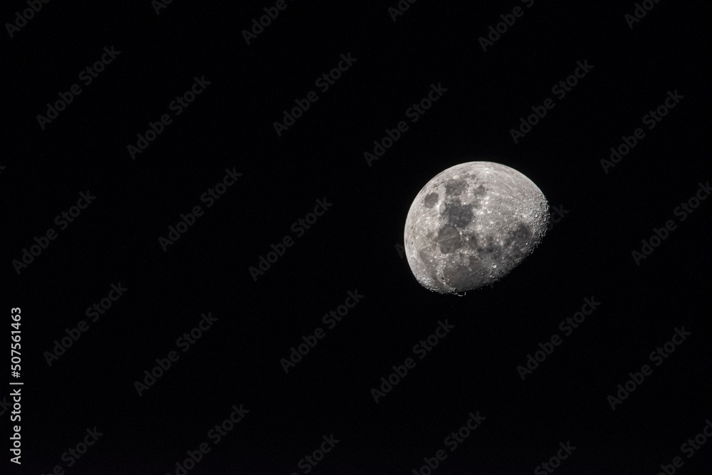 Fototapeta premium moon