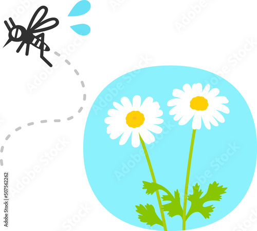 除虫菊の花と逃げる蚊