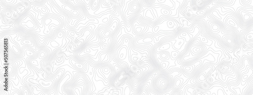 Abstract topographic contours map background. Vector geographic contour map. topography map background.  White wave paper curved reliefs abstract background. 