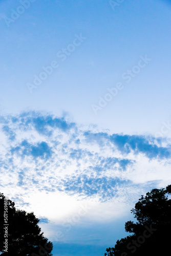 上野の空