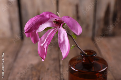 Bright magnolia flower on a rustic background photo