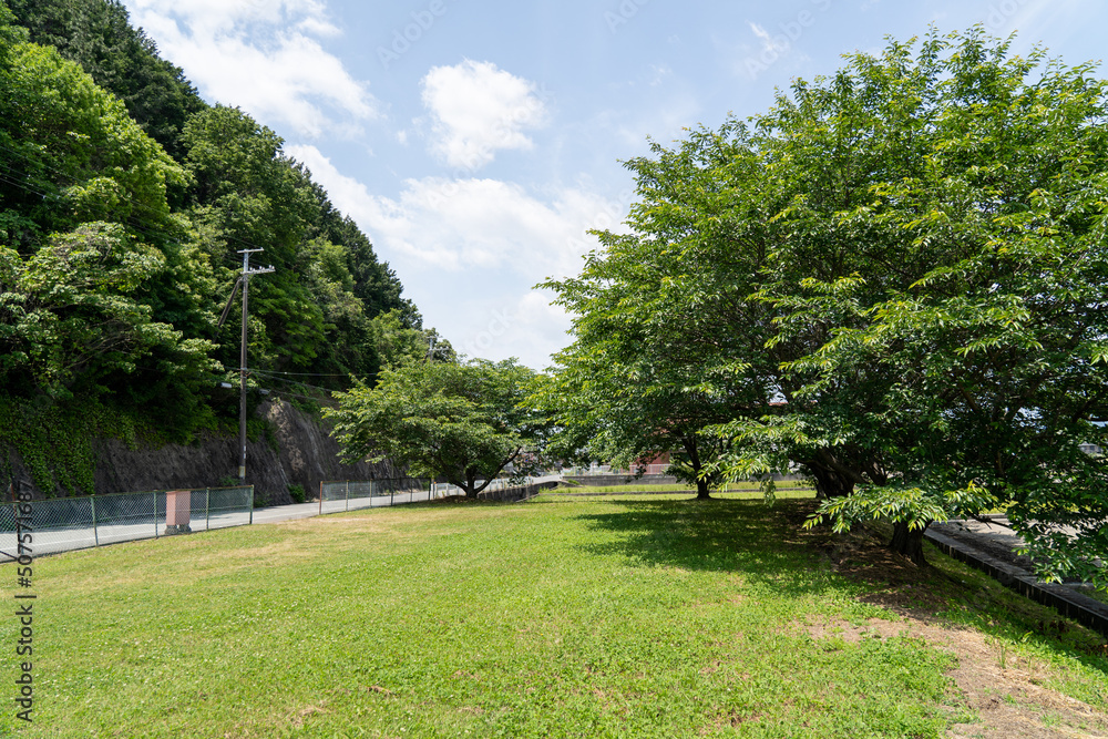 近所の公園