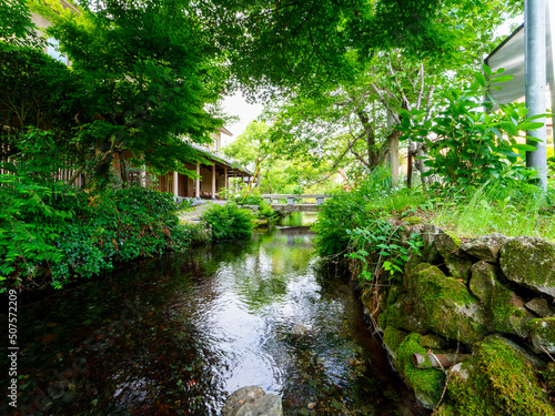 醒井宿を流れる地蔵川の風景 photo