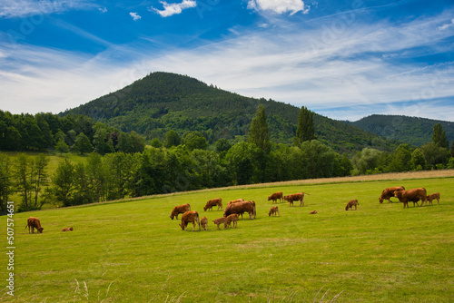 Landschaft im Val de Villé in den Vogesen