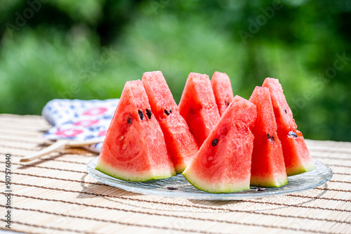 Obraz na plátně スイカ　夏の風物詩