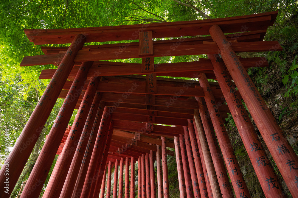鳥居 Torii gate Yutoku Inari Saga Japan temple 鳥居 Torii gate Yutoku Inari Saga Japan temple