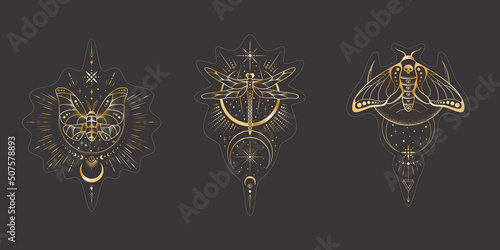 Fototapeta Vector mystic celestial sticker set a with golden outline insects, stars, crescents and moon phases