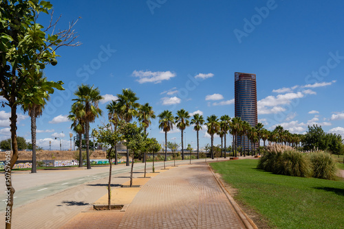 city ​​view with lots of palm trees along the paved road and there is a large building