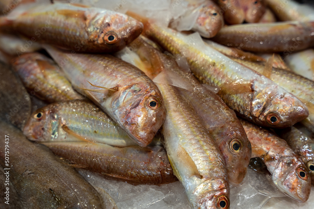fish in a fish market stacked on top of each other on light ice and the fish are looking directly at you fish in a fish market stacked on top of each other on light ice and the fish are looking directly at you
