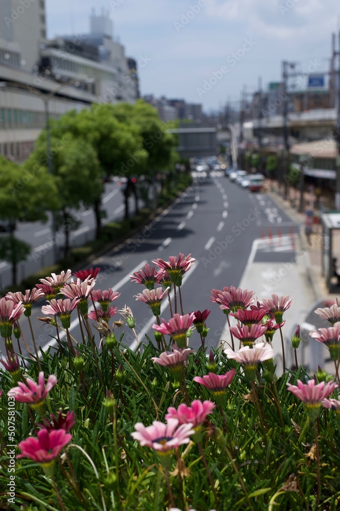 花と街