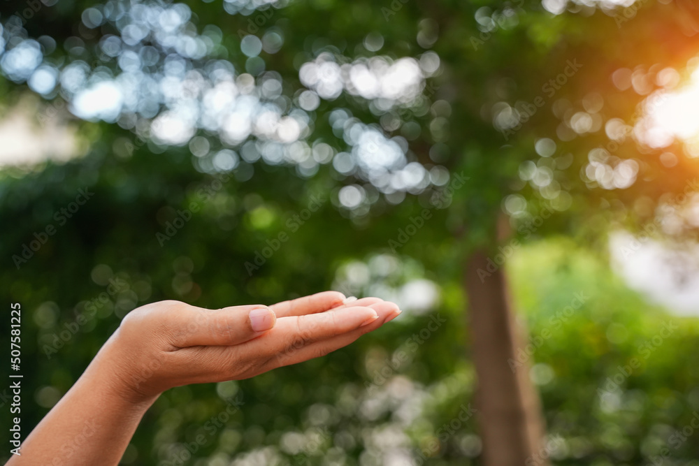 Technology,   Hands holding  globe of tropical nature summer background, 