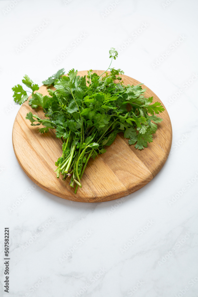Fresh bunch of cilantro on cutting board cooking concept Fresh bunch of cilantro on cutting board cooking concept