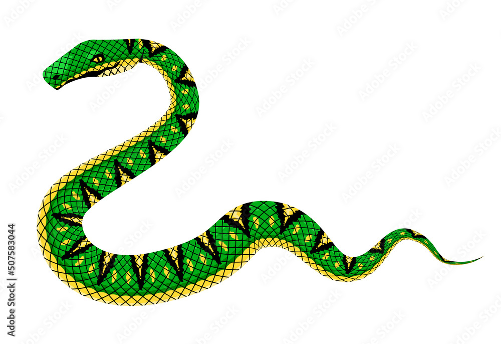 Naklejka premium viper snake green reptile serpent