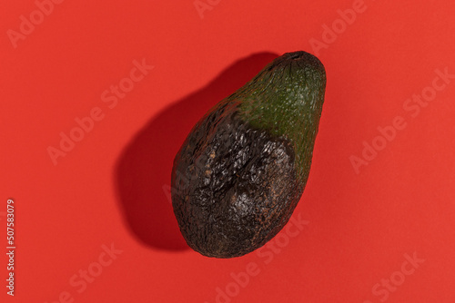 Whole overripe avocado on a red background. Top view. photo