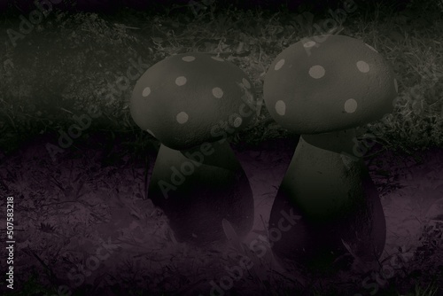 funghi tossici photo