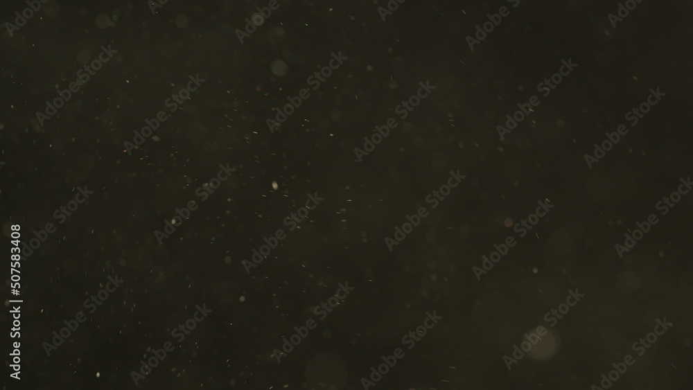 Fototapeta premium Dust particles floating in air with natural back light