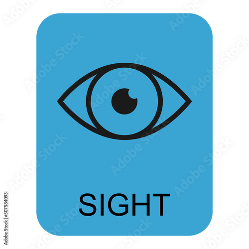 Human anatomy flat eye icon, sight health organ vector illustration, face part sign