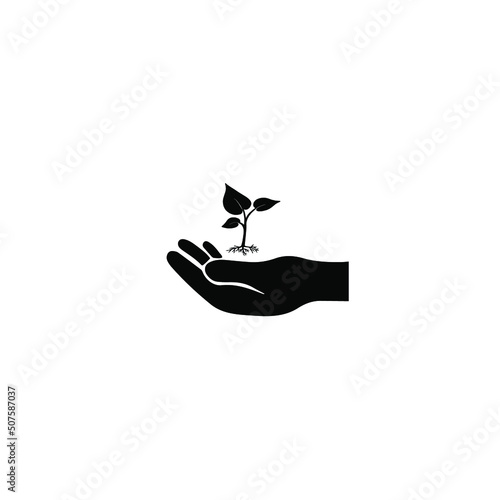 hand with tree sprout on white background
