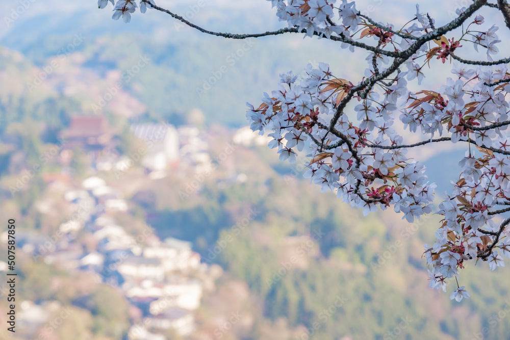 custom made wallpaper toronto digital吉野山の桜