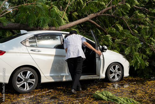 The accident caused the broken branches to fall onto the car. The unfortunate man is reaching out to insurance to come