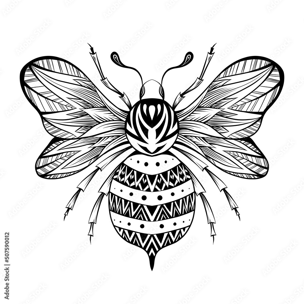 1000 Bumble Bee Line Drawing Stock Photos Pictures  RoyaltyFree Images   iStock
