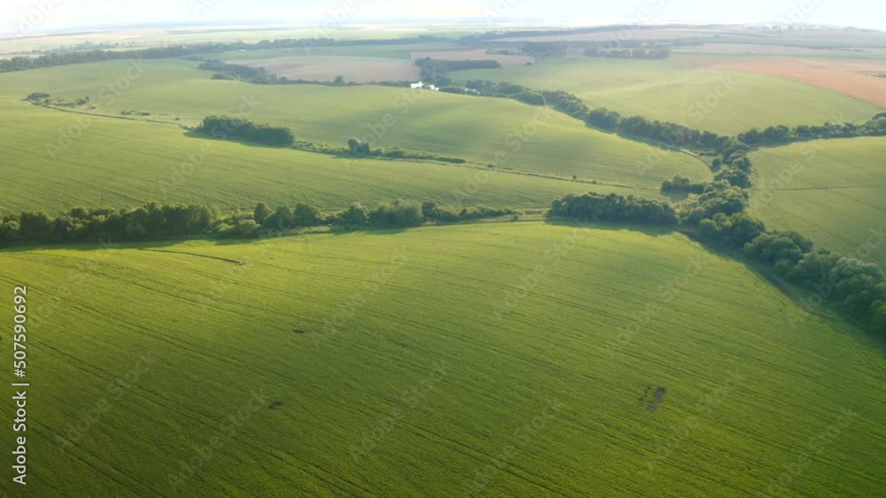 Breathtaking view of a green undulating field. Filmed in UHD 4k video. Breathtaking view of a green undulating field. Filmed in UHD 4k video.