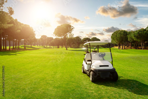 Print op canvas Golf cart in fairway of golf course with green grass field with cloudy sky and t