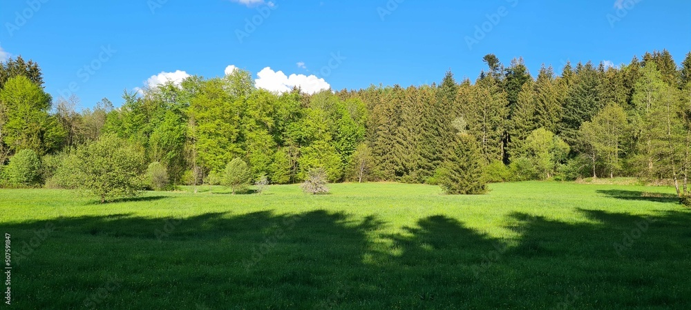 Obraz premium Nature