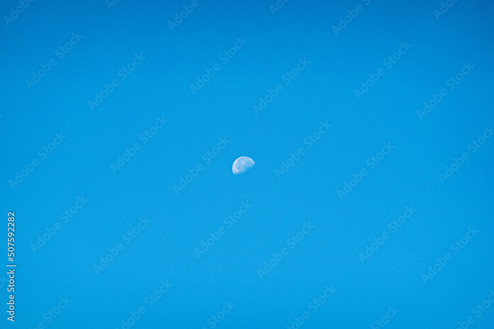 Moon Moon