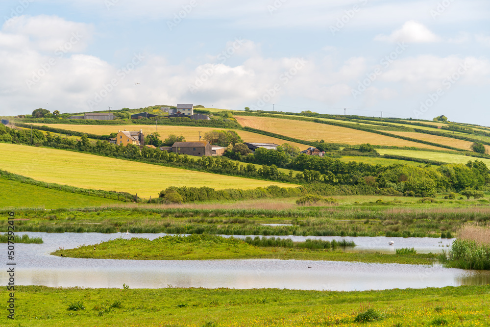 Scenic view of the countryside at South Huish Wetlands Reserve in Devon