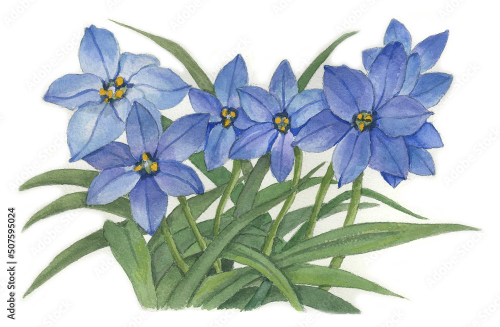 花の絵/花ニラ。花の表情を華やかにかわいく素敵に表現した水彩画です。花好きな一人の作家による作品集です。 花の絵/花ニラ。花の表情を華やかにかわいく素敵に表現した水彩画です。花好きな一人の作家による作品集です。