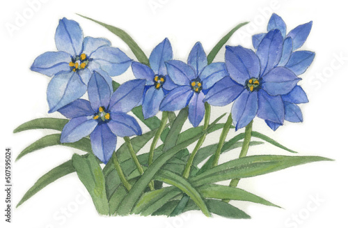 花の絵／花ニラ。花の表情を華やかにかわいく素敵に表現した水彩画です。花好きな一人の作家による作品集です。