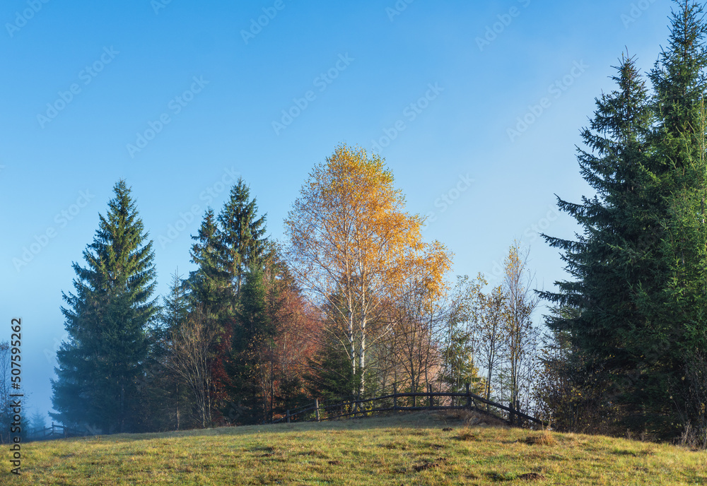 Cloudy and foggy morning late autumn mountains scene. Peaceful picturesque traveling, seasonal, nature and countryside beauty concept scene. Carpathian Mountains, Ukraine. Cloudy and foggy morning late autumn mountains scene. Peaceful picturesque traveling, seasonal, nature and countryside beauty concept scene. Carpathian Mountains, Ukraine.