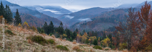 Fototapeta Naklejka Na Ścianę i Meble -  Cloudy and foggy early morning autumn mountains scene. Peaceful picturesque traveling, seasonal, nature and countryside beauty concept scene. Carpathian Mountains, Ukraine.