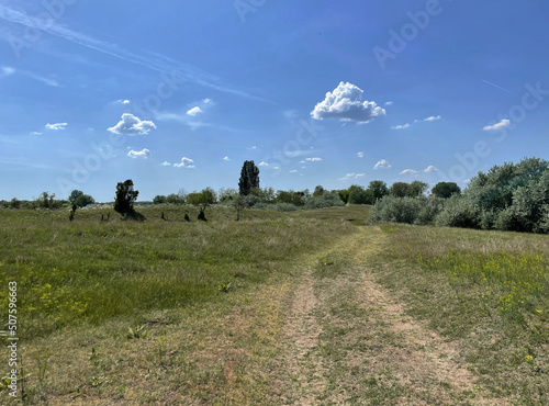 Weg durch die Dünen der Banater Sandwüste, Vojvodina, Serbien photo