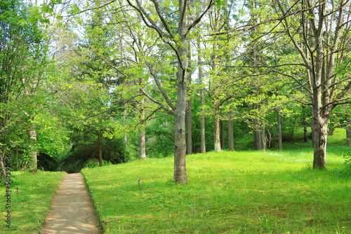 path in the park