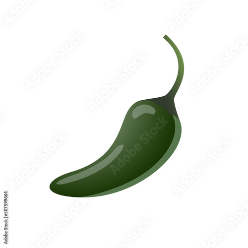 Green jalapeno pepper, flat style vector illustration isolated on white background