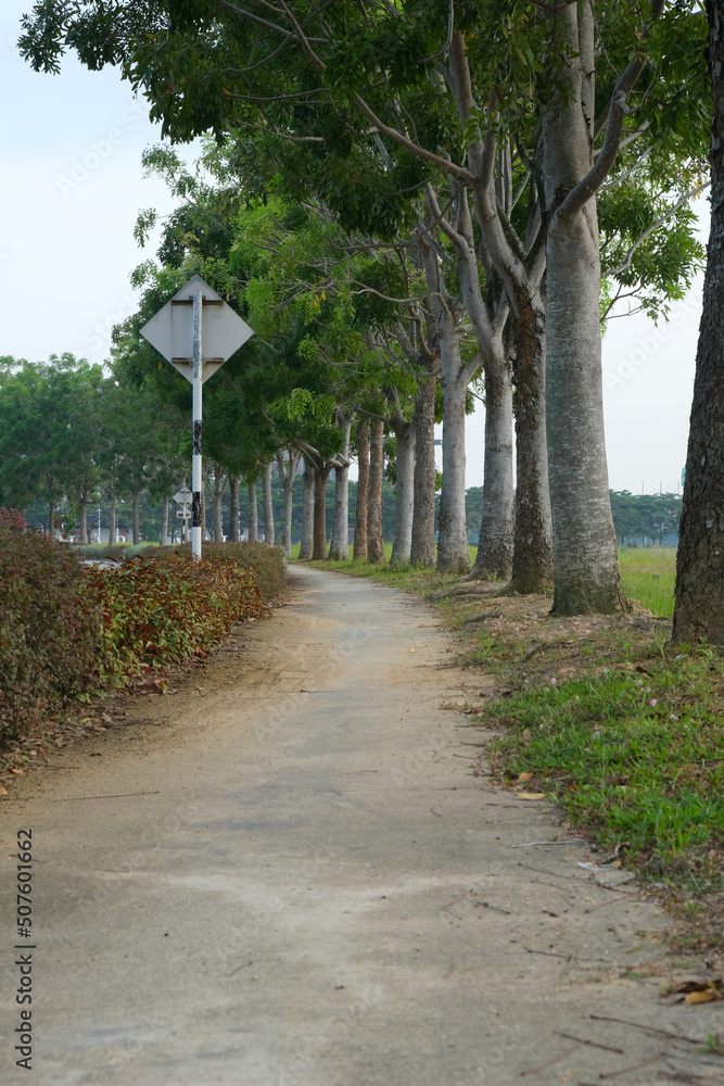 A picture of walking path with tree rows insight.