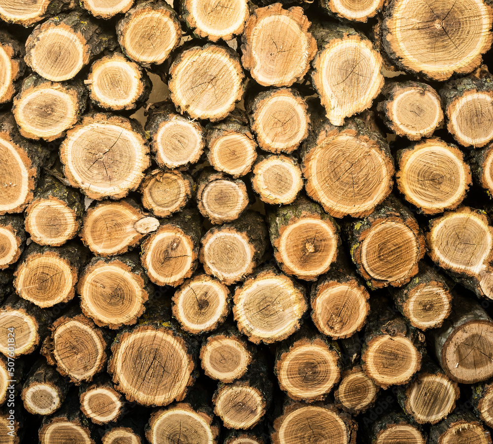 Background from chopped stacked firewood. Natural texture. Background from chopped stacked firewood. Natural texture.