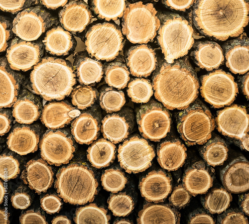 Background from chopped stacked firewood.  Natural texture.