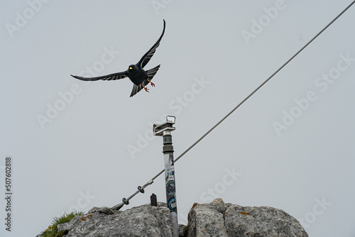 Um den Gipfel des Hochiss photo